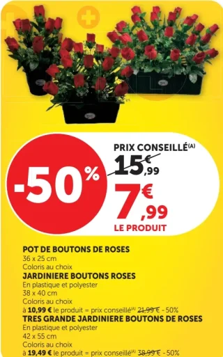 POT DE BOUTONS DE ROSES