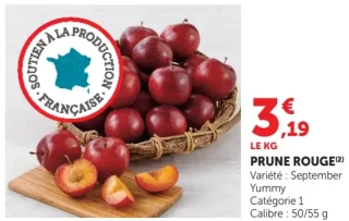 PRUNE ROUGE