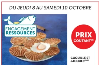 Coquille St Jacques