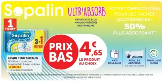Essuie tout Sopalin Ultr'Absorb