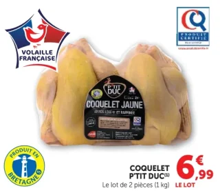Coquelet jaune P'tit Duc