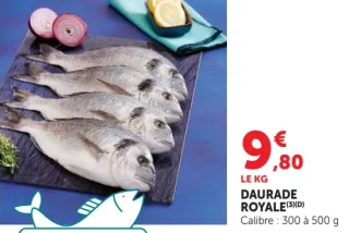 Daurade Royale Calibre : 300 à 500 g