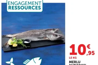 MERLU ENTIER