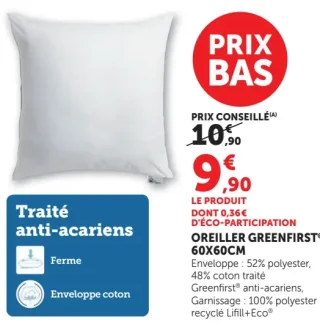 Oreiller Greenfirst 60x60cm