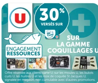 Gamme Coquillages U