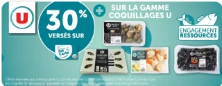 Sur la gamme coquillages U