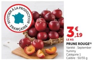 PRUNE ROUGE