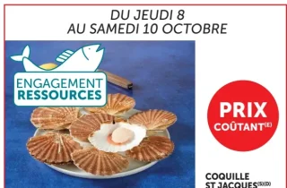 Coquille St Jacques