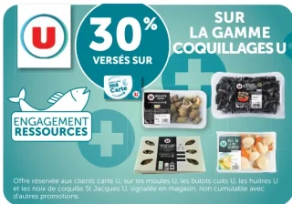 La gamme coquillages U