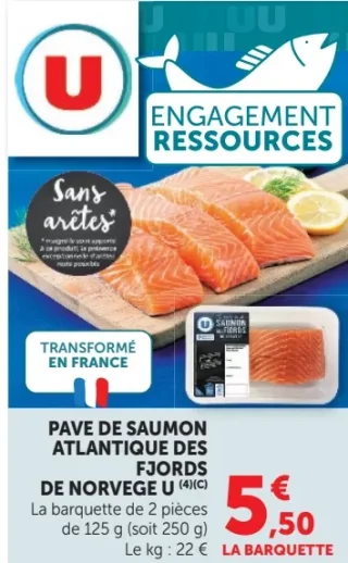 Pavé de saumon atlantique des fjords de Norvège U