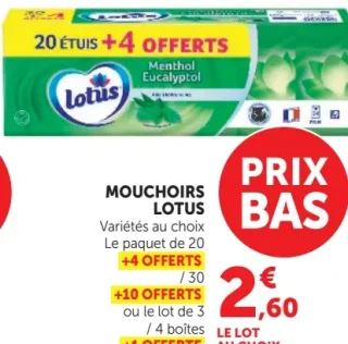 MOUCHOIRS LOTUS