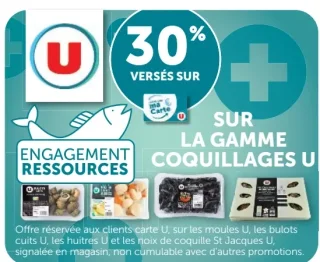 Gamme Coquillages U