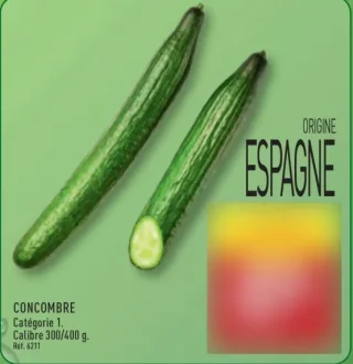 CONCOMBRE