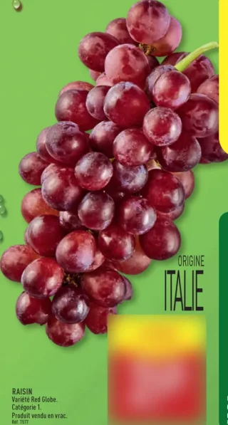 RAISIN Variété Red Globe