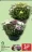 Promo CHRYSANTHÈME GARDENLINE®