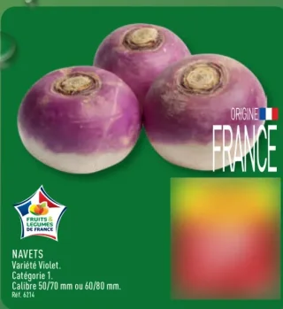 Navets variété Violet