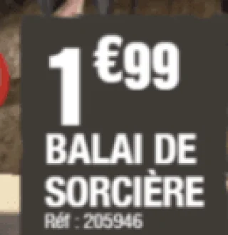 Balai de sorcière