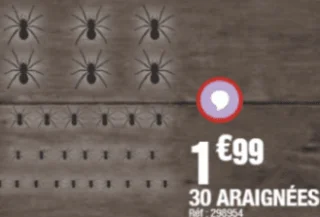 30 Araignées
