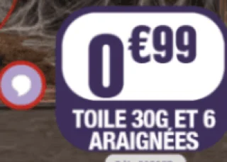 Toile 30g et 6 araignées