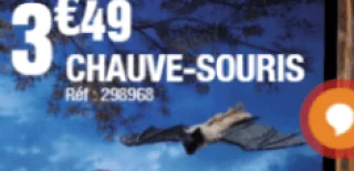 Chauve-souris