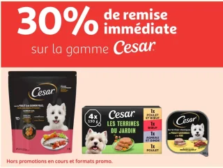 Gamme Cesar