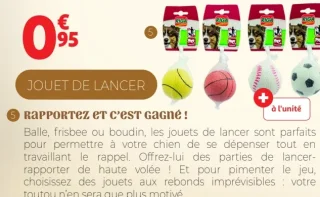 JOUET POUR CHIEN BALLE DIVERS SPORT RIGA