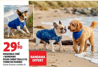 Ensemble ciré + bandana pour chien Terre de Marins