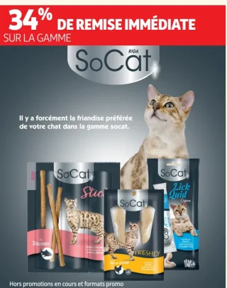 Gamme de friandises pour chat SoCat