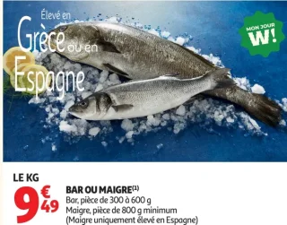 BAR OU MAIGRE