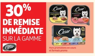 Gamme Cesar