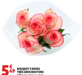 BOUQUET 5 ROSES TRÈS GROS BOUTONS