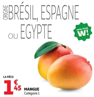 Mangue