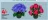 Promo Composition Fleurs Artificielles