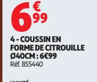 4 - coussin en forme de citrouille