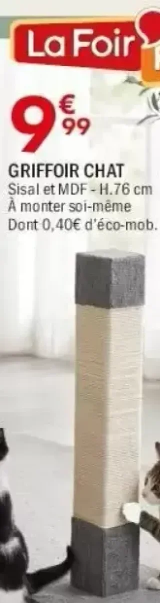 Griffoir chat