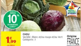 Chou blanc et/ou rouge et/ou vert