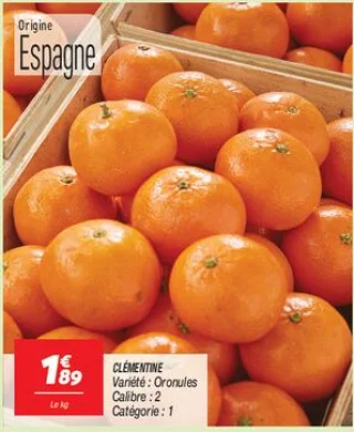 Clémentine 