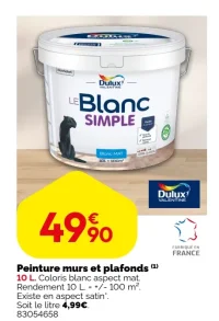 Peinture murs et plafonds Dulux Valentine Le Blanc Simple