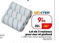 Lot de 3 rouleaux pour mur et plafond DEXTER