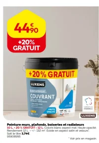 Peinture murs, plafonds, boiseries et radiateurs Luxens