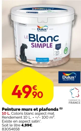 Peinture murs et plafonds Le Blanc Simple Dulux Valentine