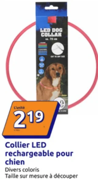 Collier LED rechargeable pour chien