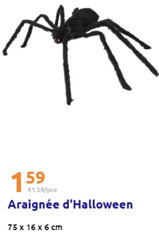 Araignée d'Halloween
