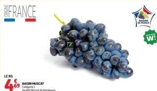 Raisin muscat