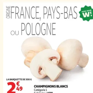 Champignons blancs