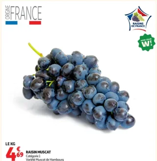 Raisin Muscat Catégorie 1