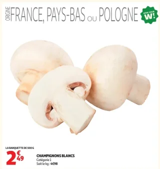 Champignons blancs Catégorie 1