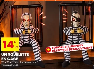 Un squelette en cage