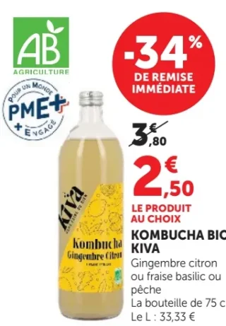 Kombucha Bio Kiva