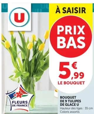 Bouquet de 9 Tulipes de glace U